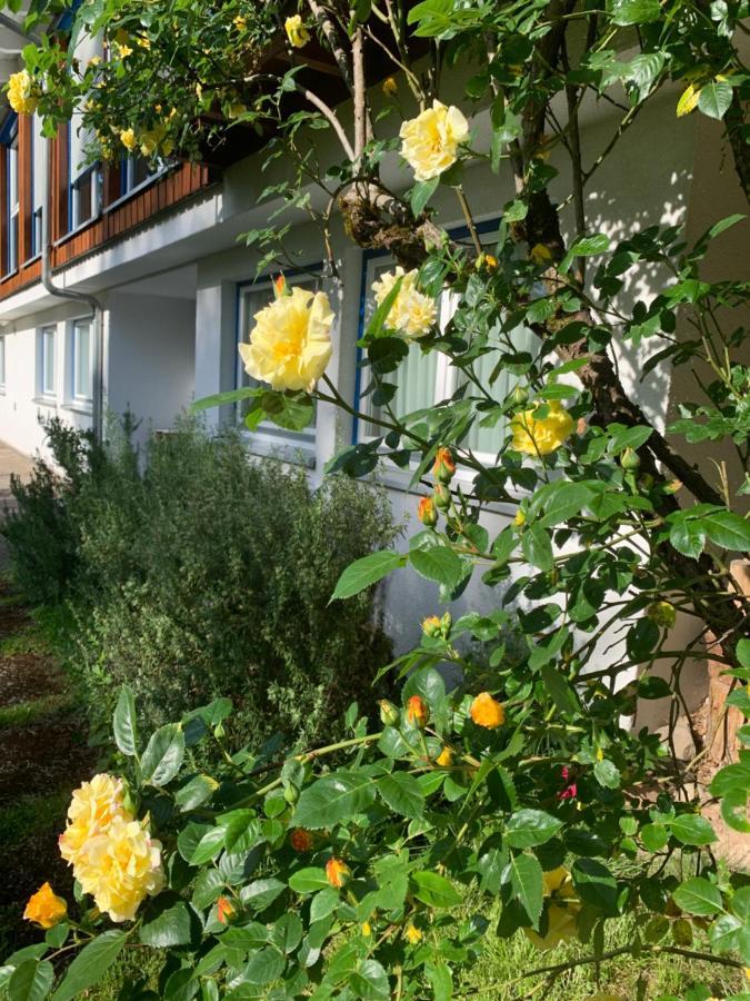 Ferienwohnung Am Krippenhof Baden-Baden Zewnętrze zdjęcie