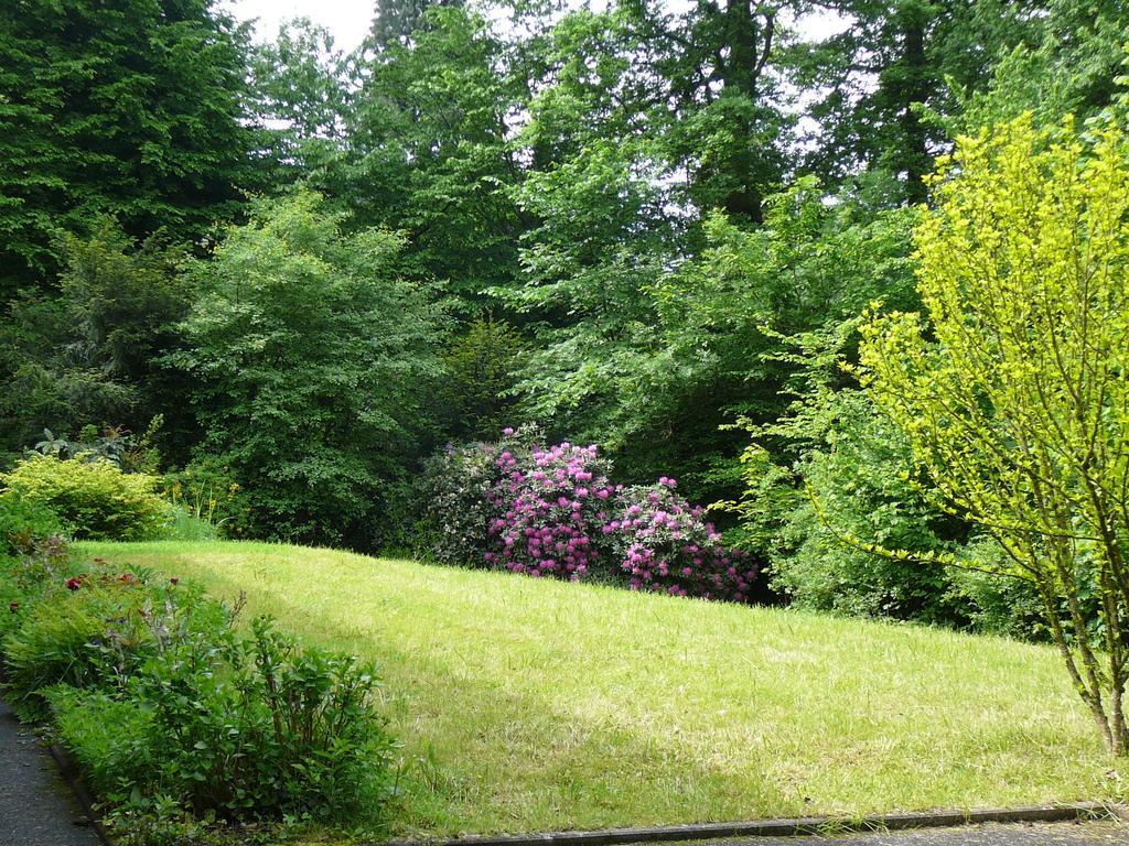 Ferienwohnung Am Krippenhof Baden-Baden Zewnętrze zdjęcie