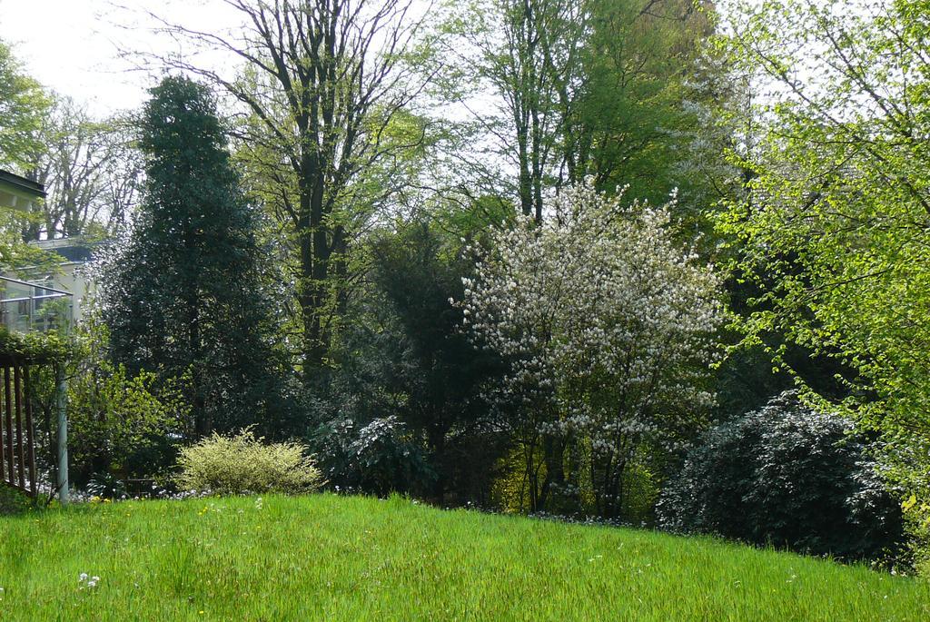 Ferienwohnung Am Krippenhof Baden-Baden Pokój zdjęcie